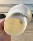 Ariel Glass